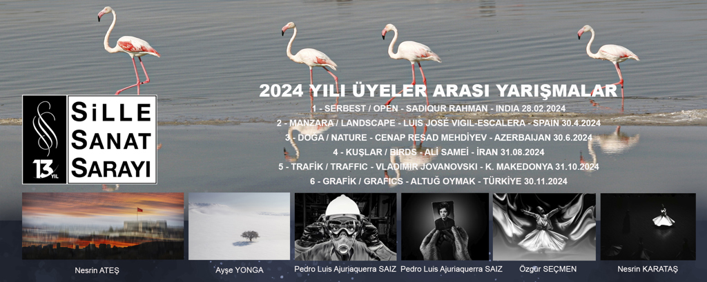 2024 SSS ÜYELER ARASI FOTOĞRAF YARIŞMASI - 4 / KUŞLAR